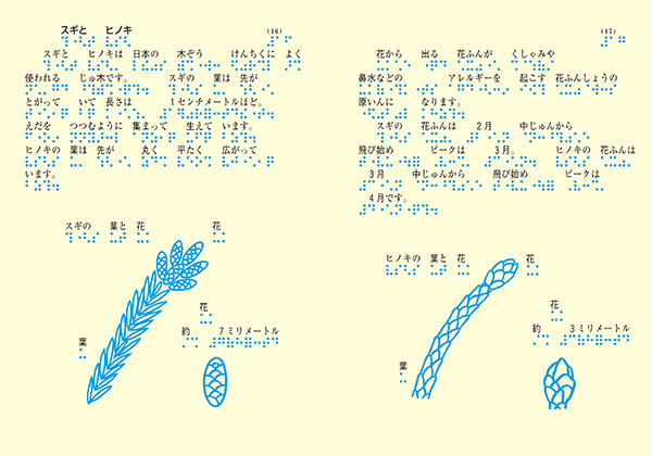 スギとヒノキのページ画像。左ページにスギの花と花の絵。右ページにヒノキの葉と花の絵。
